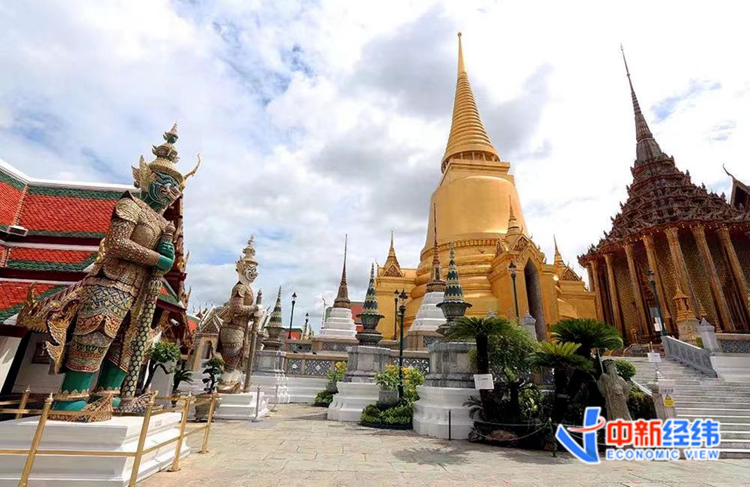 旺季变淡季！国外旅行社老板：没业务，员工回老家种榴莲去了