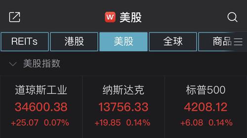美股小幅收高：WSB概念股强势 AMC娱乐控股暴涨超100%