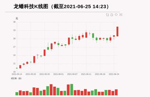 【牛人重仓】龙蟠科技:盘中近日首次触及涨停板，今日资金流入3751.23万元；前3个交易日，主力资金净流入-2718.01万元