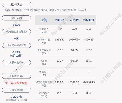 数字认证：选举严轶为公司第四届董事会董事