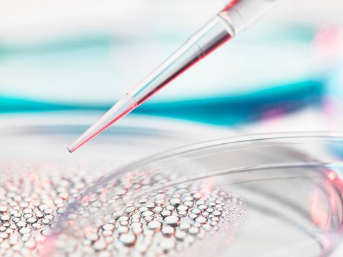 国内微生物产业短板在哪？中国微生物学科带头人：钱不缺了，缺的是这些