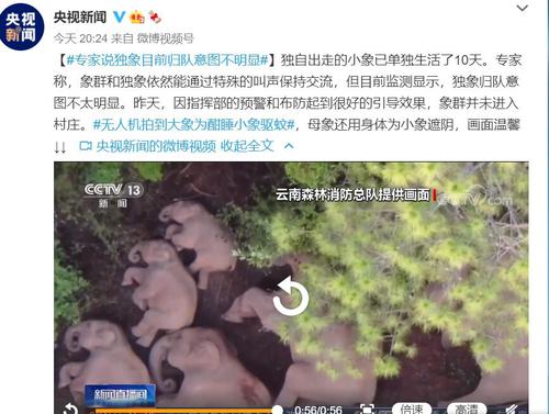 每经22点|深圳新增确诊病例为海关工作人员，基因测序判定为境外输入关联病例；美国5月生产者通货膨胀率同比上涨6.6%