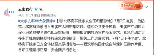 “叛逆期”独象被安全转移到原栖息地西双版纳，脱离象群后已独自活动32天