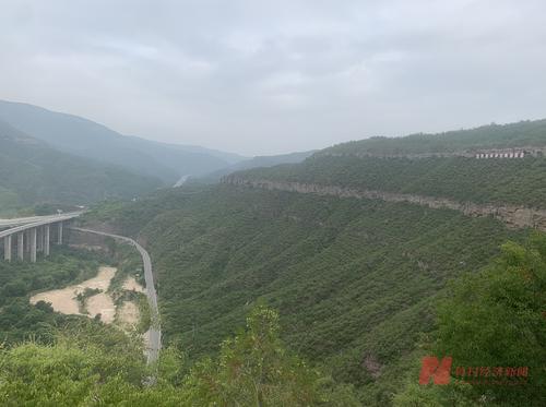 40度陡峭土石山区种出4米高树木，二十年植树造林150万亩……有了这些，“一碗水半碗沙”的黄河变样了！