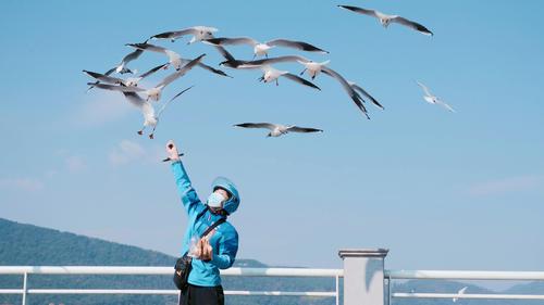 生活服务矩阵首现阿里财报：聚焦长期价值创造，新队形再出发