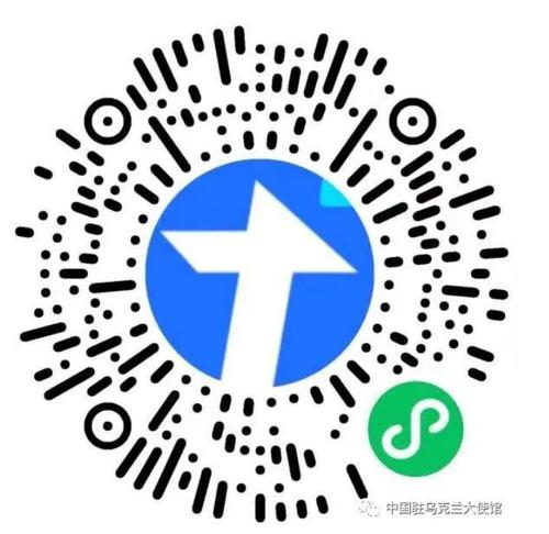 速登记！中国驻乌使馆准备分批包机接返在乌公民