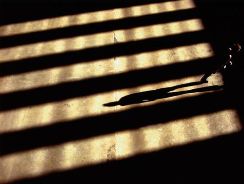 凭借国产替代优势业绩报喜 机构看好这家公司开启新一轮增长！