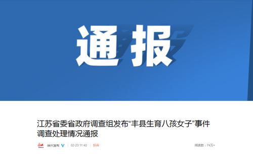 “丰县生育八孩女子”事件十三问