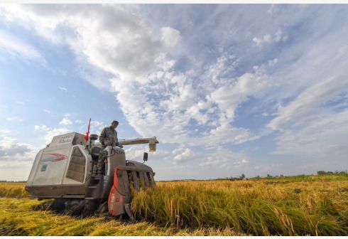 农险承保理赔办法出台：统一定损时限，强调禁止通过虚假承保、虚假理赔骗取保费补贴
