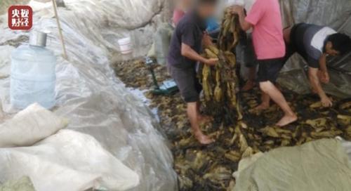 起底“3·15”晚会曝光的插旗菜业：创始人被称“芥菜大王”芥菜做酸菜包收益涨10倍