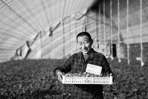 重构供应链，加码农研科技 “腿上有泥”的拼多多上榜“2022年十大创新物流供应链公司”名单