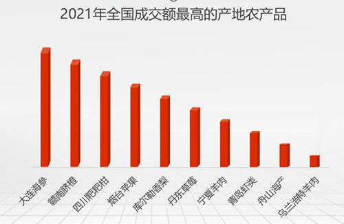 2022数字经济+乡村振兴发展指数报告：县域农村“新消费”蓬勃发展
