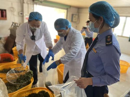 福建：严查“土坑酸菜”“木薯粉条”