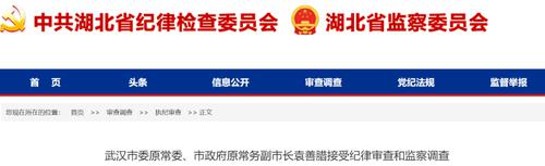 武汉市原副市长袁善腊被查！曾被民营企业家狱中实名举报“六宗罪”，裸退已超10年