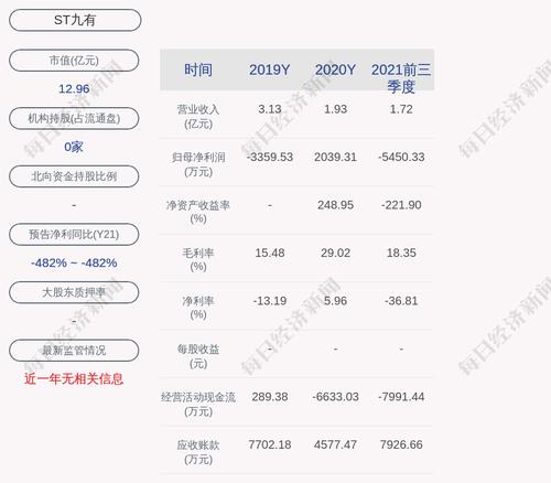 ST九有：聘任张宇飞担任公司副总经理