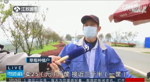 糟心！10万斤草莓滞销，有种植户直言：“卖25元一筐，一筐接近3斤半”