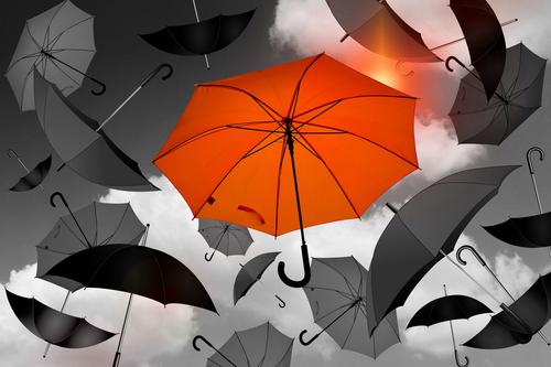 财富管理业务发力，光大证券去年净利同比增近50%；2家子公司亏损，MPS项目累计计提预计负债达53亿元！