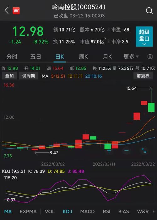 五连板后股价创新高 岭南控股收函：涉嫌内幕交易？