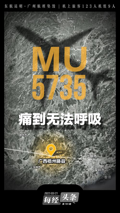 痛！东航MU5735坠毁，“坠毁时爆炸声很大，以为在打雷”，上千救援人员紧急搜救！东航停飞全部同型号客机，多家险企启动应急响应