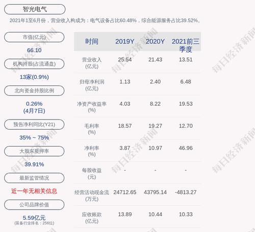 智光电气：股东累计质押情况