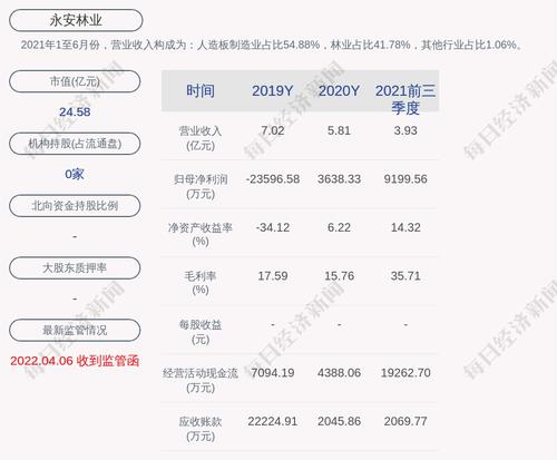 深交所向福建省永安林业(集团)股份有限公司相关当事人发出监管函