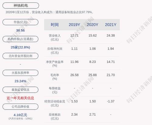 神驰机电：公司及下属子公司对外担保总额为2.02亿元