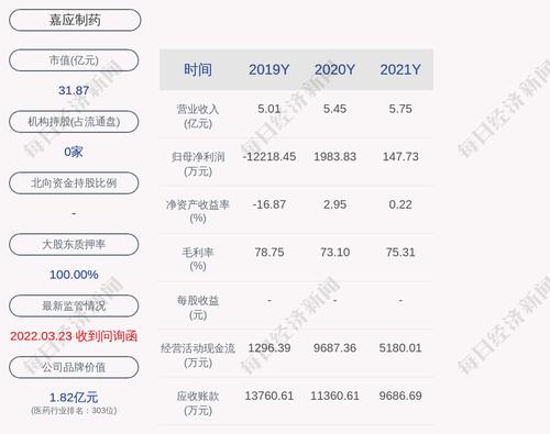 嘉应制药：终止公司2021年度非公开发行A股股票事项