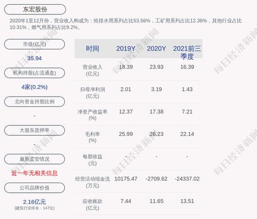 东宏股份：董事、副总裁毕兴涛违规增持500股