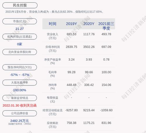 民生控股：公司董事严兴农辞职