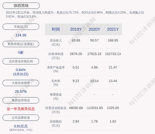 陕西黑猫：控股股东黄河矿业质押2600万股