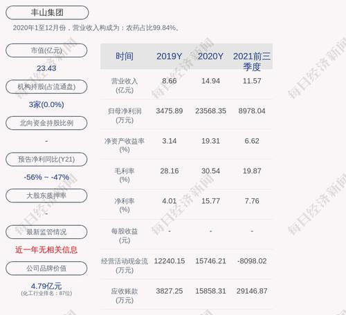 丰山集团：公司对外担保的实际担保余额为9612.5万元