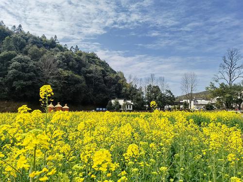 婺源有民宿3月下旬零住客 清明小长假旅游业遇冷