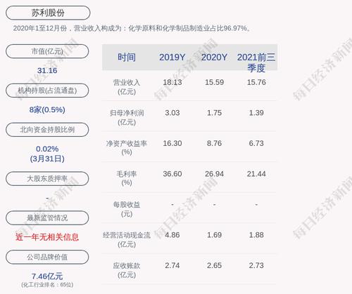 苏利股份：公司及子公司担保总额为人民币10.41亿元