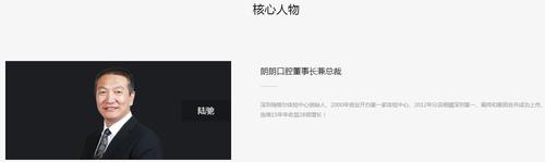 “郎朗系”陆驰间接举牌宏盛股份 曾共同设立医疗子公司，数月投资近70家企业